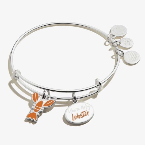 Alex and Ani Friends &lsquo;You&rsquo;re My Lobster&rsquo; Duo Charm Bangle